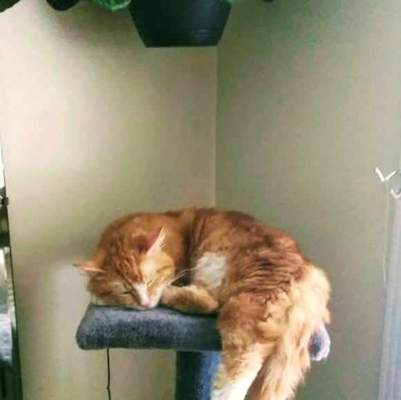 Clothing, Household Items and more!! - Picture 5 of 6